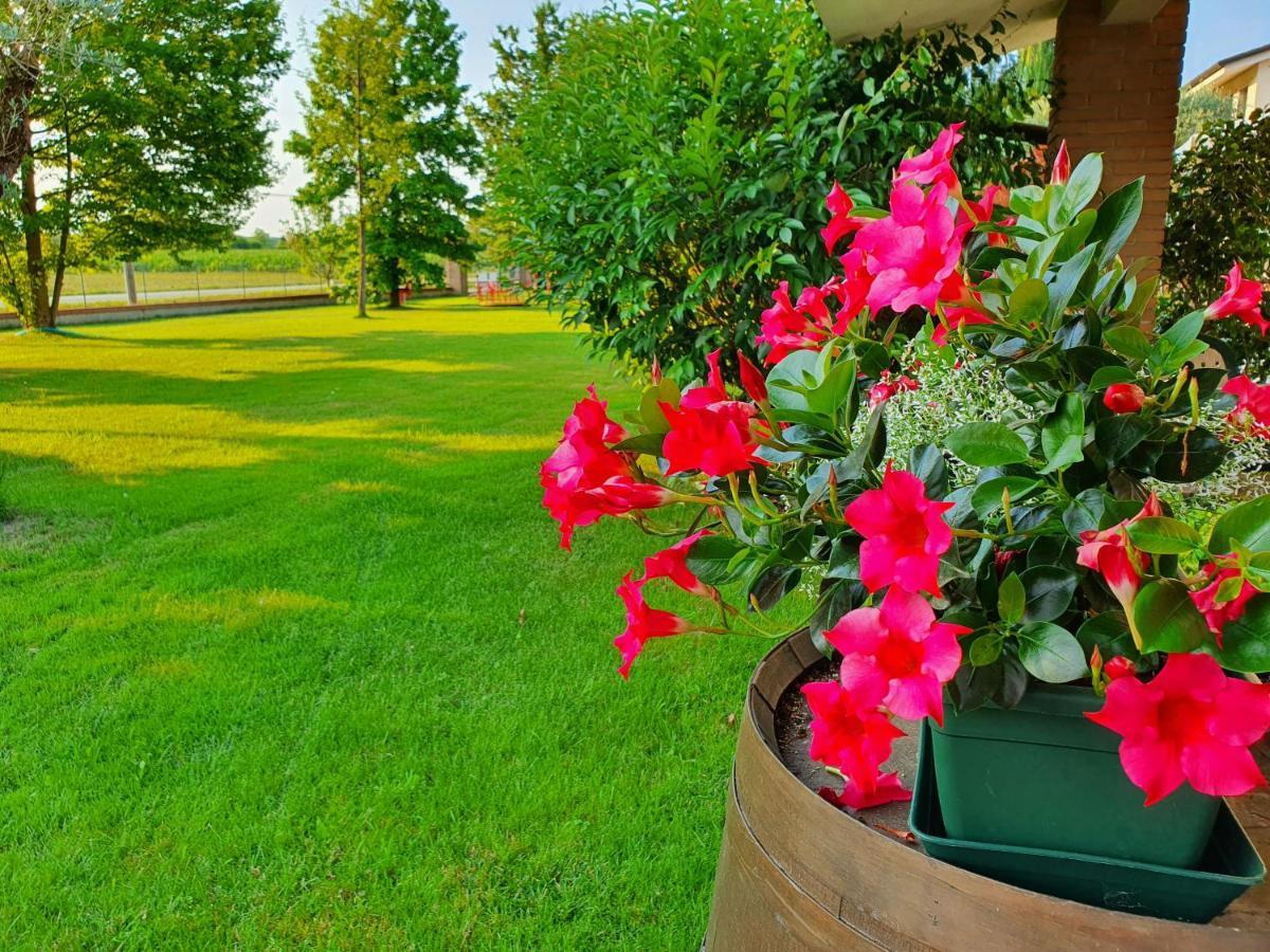 B&B Villalta Treviso Buitenkant foto